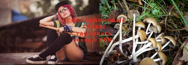 прущая мука Бородино