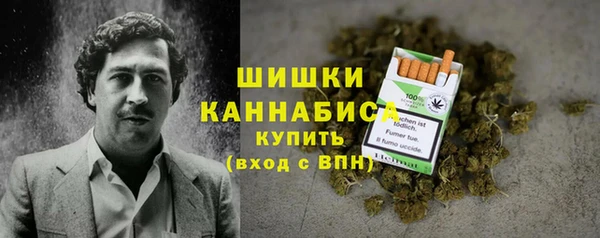прущая мука Бородино