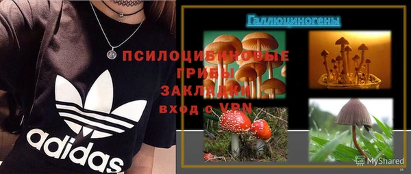 гашик Бугульма