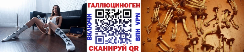 Купить закладки  Окуловка  Псилоцибиновые грибы MAGIC MUSHROOMS 